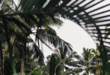 ‘Wonder Woman 1984’ to Debut Both on HBO Max and in Theaters