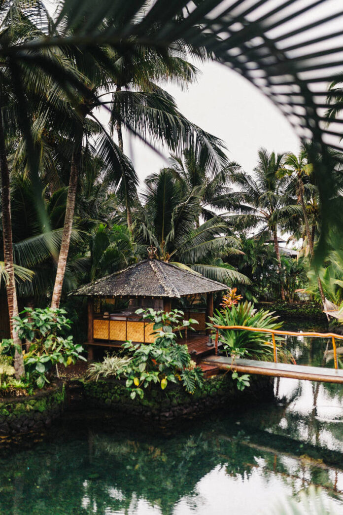 Depositphotos_367461216_xl-2015-1