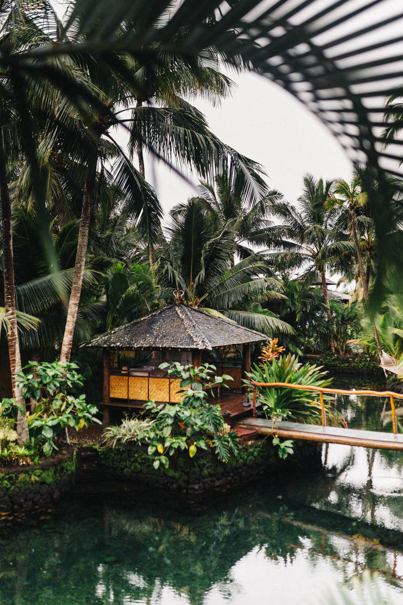 ‘Wonder Woman 1984’ to Debut Both on HBO Max and in Theaters