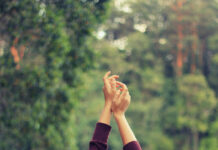 Reunited Long-Distance Couples Learn to Live Together