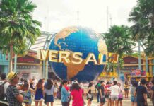 The Walking Dead – Series